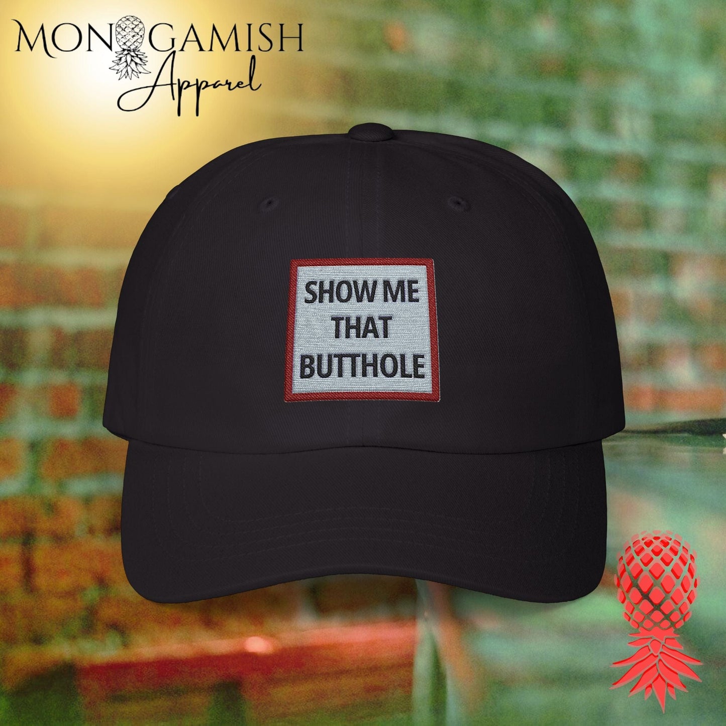 Show It To Me Embroidered Hat